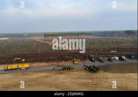 12 dicembre 2020, Brandeburgo, Grünheide: La zona appena liberata della pineta sul sito della costruzione del Tesla Gigafactory (fotografia aerea scattata con un drone) dal luglio 2021; un massimo di 500,000 veicoli all'anno devono essere disassati dalla linea di assemblaggio in fabbrica e, secondo i piani del costruttore dell'automobile, il massimo deve essere raggiunto il più rapidamente possibile. Per il momento, la casa produttrice di auto elettriche statunitense si aspetta che fino a 10,500 dipendenti lavorino a turni nella sua prima fabbrica in Europa. Foto: Patrick Pleul/dpa-Zentralbild/ZB Foto Stock