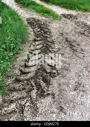 deep tire track from tractor on gravel road after rain Stock Photo