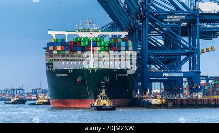 La nave portacontainer, sempre dotata, è stata manovagliata in posizione da tre rimorchiatore al porto di Felixstowe, il più grande porto di container del Regno Unito. Foto Stock