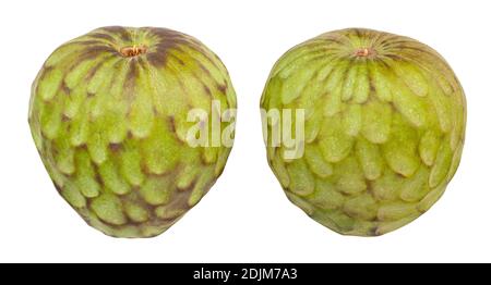 cherimoya percorso isolato su bianco Foto Stock