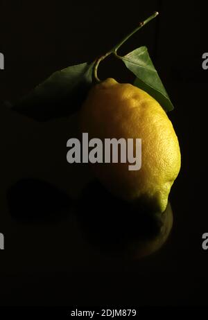 Frutta al limone isolata su sfondo scuro. Foto Stock