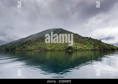 Marlborough Sounds, Nuova Zelanda, giovedì 26 novembre 2020. Foto Stock