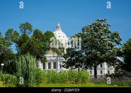 St. Paul, Minnesota. Edificio del campidoglio circondato da splendidi fogliame d'estate. Foto Stock