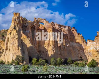 Grosvenor Arch, pioppi neri americani lavare Road 400, Grand Staircase-Escalante monumento nazionale a sud di Cannonville, Utah. Foto Stock