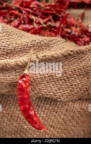 Peperoncino rosso essiccato in sacchi per la vendita sul mercato Foto Stock