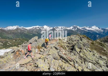 Sabbia a Taufers, Provincia di Bolzano, Alto Adige, Italia. Escursionisti sul sentiero panoramico nella zona escursionistica di Speikboden. Sullo sfondo le Alpi Zillertal con le cime Hochfeiler, Weisszint, Grosser Möseler, Turnerkamp, Schwarzenstein e Grosser Löffler Foto Stock