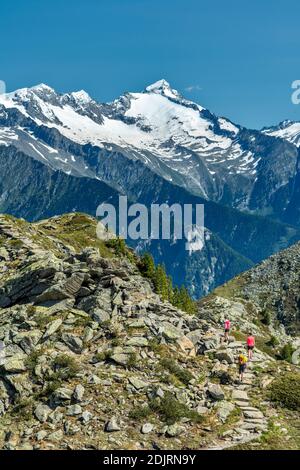 Sabbia a Taufers, Provincia di Bolzano, Alto Adige, Italia. Escursionisti sul sentiero panoramico nella zona escursionistica di Speikboden. Sullo sfondo le Alpi Zillertal con le cime delle Floitenspitze e Grosser Löffler Foto Stock