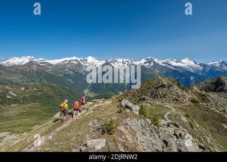 Sabbia a Taufers, Provincia di Bolzano, Alto Adige, Italia. Escursionisti sul sentiero panoramico nella zona escursionistica di Speikboden. Sullo sfondo le Alpi Zillertal con le cime Hochfeiler, Weisszint, Grosser Möseler, Turnerkamp, Schwarzenstein e Grosser Löffler Foto Stock