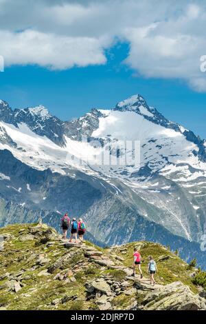 Sabbia a Taufers, Provincia di Bolzano, Alto Adige, Italia. Escursionisti sul sentiero panoramico nella zona escursionistica di Speikboden. Sullo sfondo la grande spatola Foto Stock