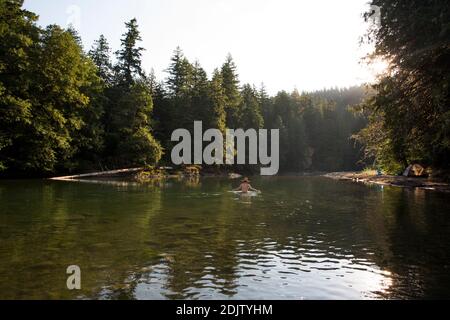 Un giovane si inguira nel fiume Ohanapecosh a Washington. Foto Stock