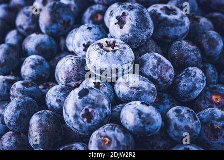 La superficie è ricoperta con un strato spesso di mirtilli. Sfondo naturale. Vaccinium uliginosum bog mirtillo, bog mirtillo, antiossidante cibo. Foto Stock