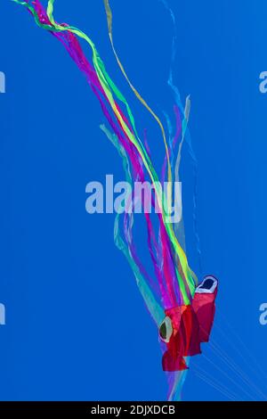 Aquilone a forma di polpo, con linee astratte in movimento, in colori vivaci, formato da tessuti rugosi che galleggiano leggermente su un fondo pieno di colore Foto Stock