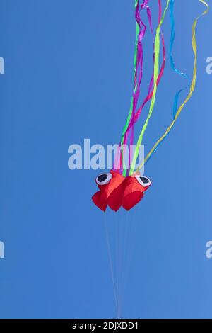 Aquilone a forma di polpo, con linee astratte in movimento, in colori vivaci, formato da tessuti rugosi che galleggiano leggermente su un fondo pieno di colore Foto Stock