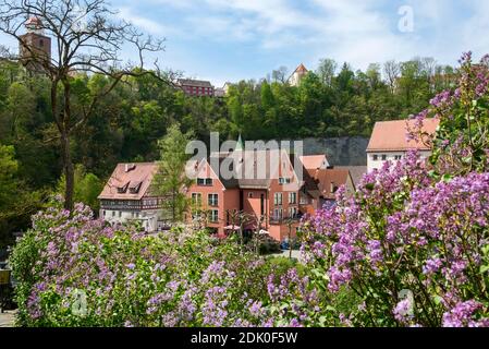 Germany, Baden-Wuerttemberg, Haigerloch, lilac blossom in the lower town. Stock Photo