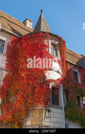 Germania, Baviera, Mitwitz, castello rinascimentale ormeggiato Mitwitz, vino selvatico sulla torre scala nel cortile interno Foto Stock