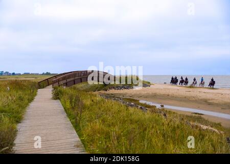 Gruppo di piloti sulla spiaggia di Sylt, Schleswig-Holstein, Germania Foto Stock