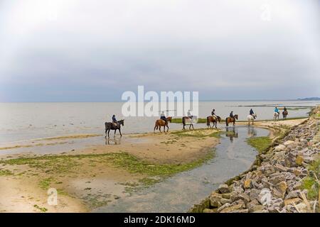 Gruppo di equitazione sulla spiaggia di Sylt, Schleswig-Hstein Foto Stock