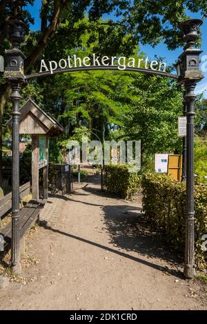 Germania, Borken, Borken-Weseke, Hohe Mark Westmuensterland Nature Park, Muensterland, Westfalia, Renania Settentrionale-Vestfalia, Apothecary Garden presso gli Heimathaus nel Quellengrundpark, erboristeria, medicina a base di erbe Foto Stock