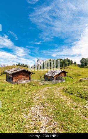 Baite tradizionali sui pascoli dell'Alpe di Siusi, paesaggio alpino dell'Alto Adige / Südtirol, Dolomiti, provincia di Bolzano, Italia, Europa Foto Stock