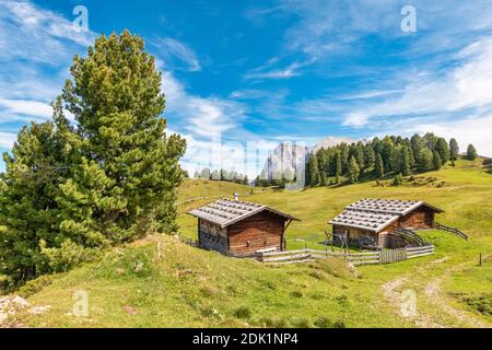 Baite tradizionali sui pascoli dell'Alpe di Siusi, paesaggio alpino dell'Alto Adige / Südtirol, Dolomiti, provincia di Bolzano, Italia, Europa Foto Stock