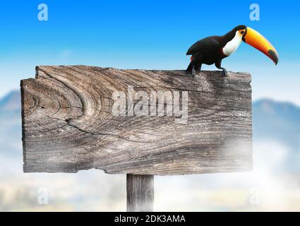 Cartello in legno bianco con un uccello toucan in una savana tropicale. Foto Stock