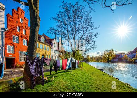 Germania, Schleswig-Holstein, Città anseatica di Lübeck, Autunno sulla trave, Clothesline di fronte alle case storiche dell'Obertrave, Foto Stock