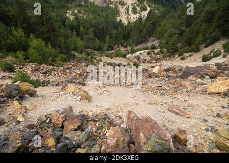 Foto scenografica della bellissima natura nelle montagne degli Afuseni , Transilvania in estate Foto Stock