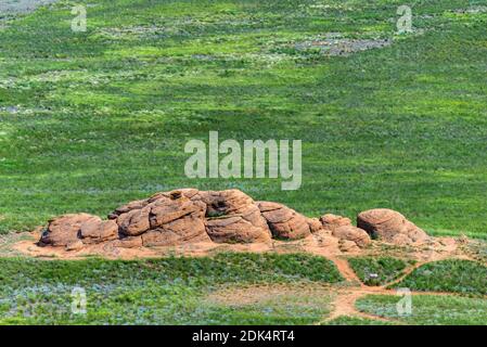 Vista sul lago salato Baskunchak. Una pietra simile alla testa di un animale o di un uomo antico. Formazione naturale unica nella steppa. Foto Stock