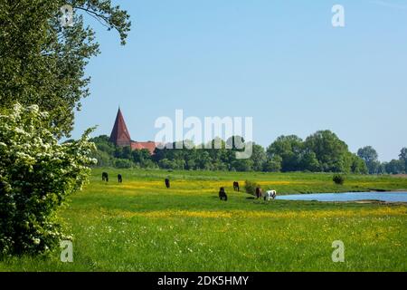 Germany, Mecklenburg-Western Pomerania, Baltic Sea island Poel, view over the pasture towards Kirchdorf, on the right the water is called: Heidensee Stock Photo