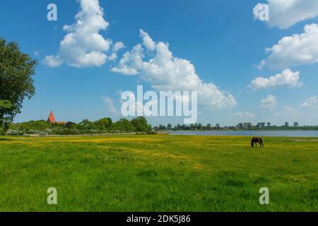 Germany, Mecklenburg-Western Pomerania, Baltic Sea island Poel, view over the pasture towards Kirchdorf, on the right the water is called: Heidensee Stock Photo