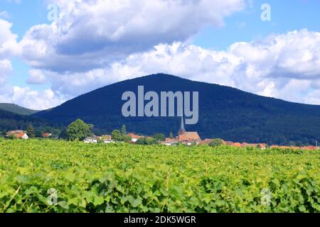 Vista dai vigneti intorno ai villaggi rhodt unter rietburg, Hainfeld, Burrweiler, Weyher, Edenkoben, Edesheim sulla strada del vino tedesco nei palati Foto Stock