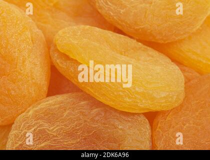 Asciugate le albicocche, Prunus armeniaca Foto Stock