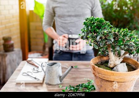 Uomo non messo a fuoco con una tazza di tè che sembrano un tavolo. Focus sulla pianta. Foto Stock