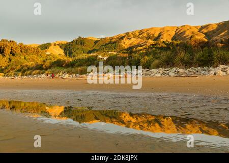 Tramonto a Pohara Beach, Golden Bay, Tasman, Isola del Sud, Nuova Zelanda, Oceania Foto Stock