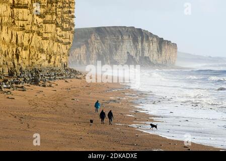 West Bay, Dorset, Regno Unito. 15 dicembre 2020. Regno Unito Meteo. Gli escursionisti di cani passeggiano lungo la spiaggia quasi deserta di West Bay a Dorset in una giornata di forti venti, sole e docce. Picture Credit: Graham Hunt/Alamy Live News Foto Stock