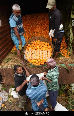 Guwahati, Assam, India. 14 dicembre 2020. Labors ordinare le arance di frutta di stagione da un camion che è portato dal vicino stato Arunachal Pradesh a Fancy Bazar a Guwahati Assam India il martedì 15 dicembre 2020 Credit: Dasarath Deka/ZUMA Wire/Alamy Live News Foto Stock