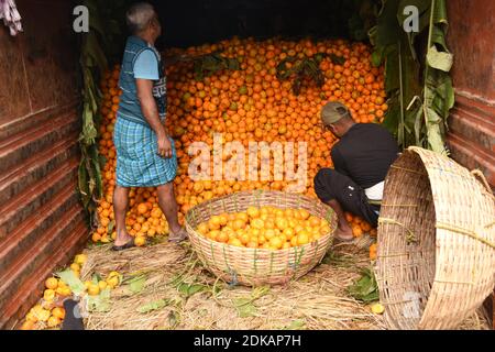 Guwahati, Assam, India. 14 dicembre 2020. Labors ordinare le arance di frutta di stagione da un camion che è portato dal vicino stato Arunachal Pradesh a Fancy Bazar a Guwahati Assam India il martedì 15 dicembre 2020 Credit: Dasarath Deka/ZUMA Wire/Alamy Live News Foto Stock