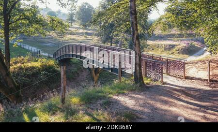 Ponte di ferro nella brughiera della Hoge Veluwe National Parco nei Paesi Bassi Foto Stock