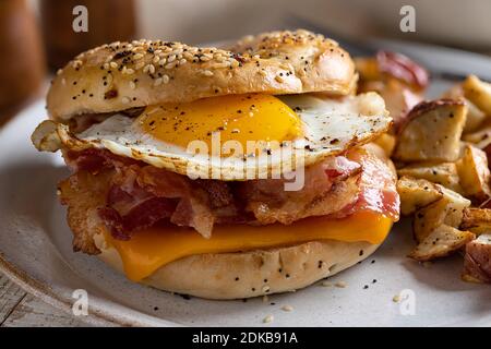 Primo piano di un sandwich per la colazione su un bagel con uova fritte, pancetta e formaggio Foto Stock