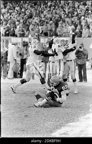 Il ricevitore di Cleveland Browns Ozzie Newsom si siede sul terreno stordito mentre i predatori di Oakland celebrano dopo che un'intercettazione da parte dei predatori di Oakland ha terminato la partita di playoff tra i Cleveland Browns e gli Oakland Raiders al Cleveland Stadium il 4 gennaio 1981. Ernie Mastroianni foto Foto Stock