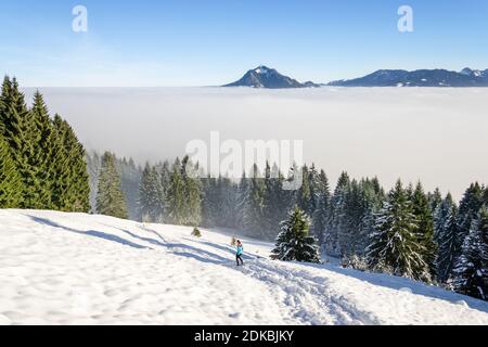 Donna sana di fondo che corre in un paesaggio montano d'inverno stupefacente con neve profonda e alberi di foresta. Donne trailrunner jogging sopra inversione Foto Stock