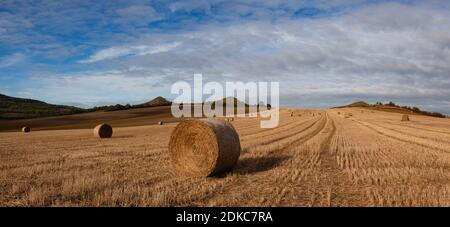 Straw bales on a stubble in Central Bohemian Uplands, Czech Republic. Field landscape bales of straw on a farm field. Panorama Image. Stock Photo