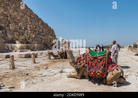 Un cammello in attesa di turisti nel complesso piramidale di Giza, un sito archeologico sull'altopiano di Giza, alla periferia del Cairo, Egitto. Foto Stock