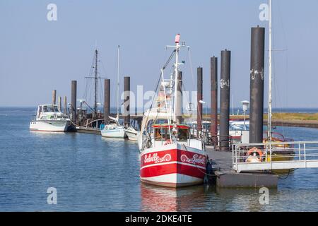 Porto con peschereccio da traino, Altenbruch, North Sea Spa Cuxhaven, bassa Sassonia, Germania, Europa Foto Stock