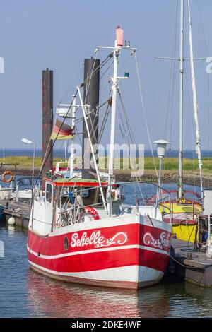 Porto con peschereccio da traino, Altenbruch, North Sea Spa Cuxhaven, bassa Sassonia, Germania, Europa Foto Stock