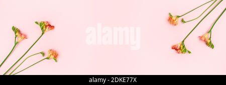 Striscione con fiori freschi su sfondo rosa pastello. Composizione floreale con luogo per il testo. Foto Stock