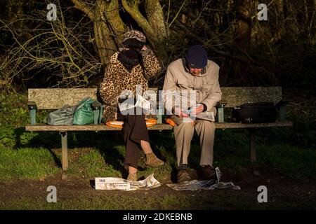 Rickmansworth, Regno Unito. 15 dicembre 2020. Una coppia anziana che fa le parole incrociate mentre si siede su una panchina del parco a Rickmansworth, Hertfordshire. La città storica sarà innalzata al livello di allarme del Covid Tier 3 domani, come parte dell'area del Three Rivers District Council che unisce Londra e altre aree del Sud Est, mentre il numero di casi di coronavirus continua ad aumentare. Credit: Stephen Chung / Alamy Live News Foto Stock