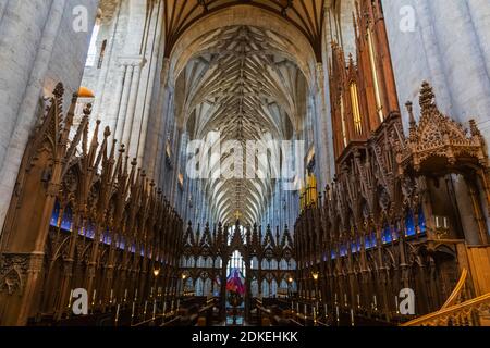 Inghilterra, Hampshire, Winchester, Winchester Cathedral, le bancarelle del coro Foto Stock