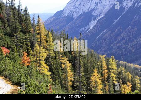 Europa, Österreich, Tirol, Leutasch, Leutasch tal, Gaistal, Ludwig Ganghofer, Spätherbst, Estate Indiana, Traumhaft, Herbst, Weg zum Steinern Hüttl (1925 metri) Foto Stock