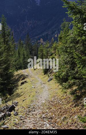 Europa, Österreich, Tirol, Leutasch, Leutasch tal, Gaistal, Ludwig Ganghofer, Spätherbst, Estate Indiana, Traumhaft, Herbst, Weg zum Steinern Hüttl (1925 metri) Foto Stock